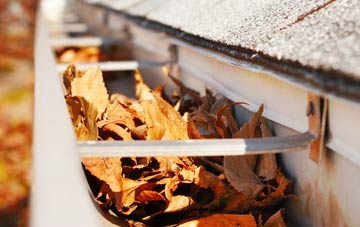 Lambourne gutter cleaning companies